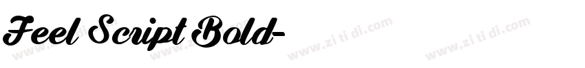 Feel Script Bold字体转换